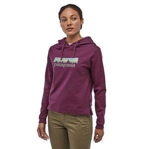 BNWT Patagonia p6 logo uprisal hoodie XS